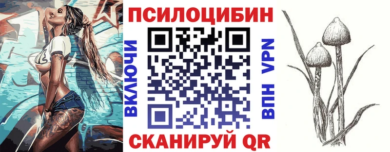 Галлюциногенные грибы Psilocybine cubensis  блэк спрут ONION  Емва 