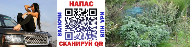 где купить наркоту  Емва  ОМГ ОМГ зеркало  МАРИХУАНА Bruce Banner 